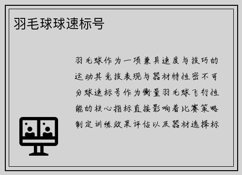 羽毛球球速标号