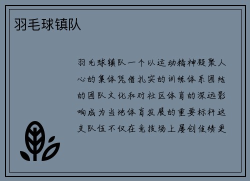 羽毛球镇队